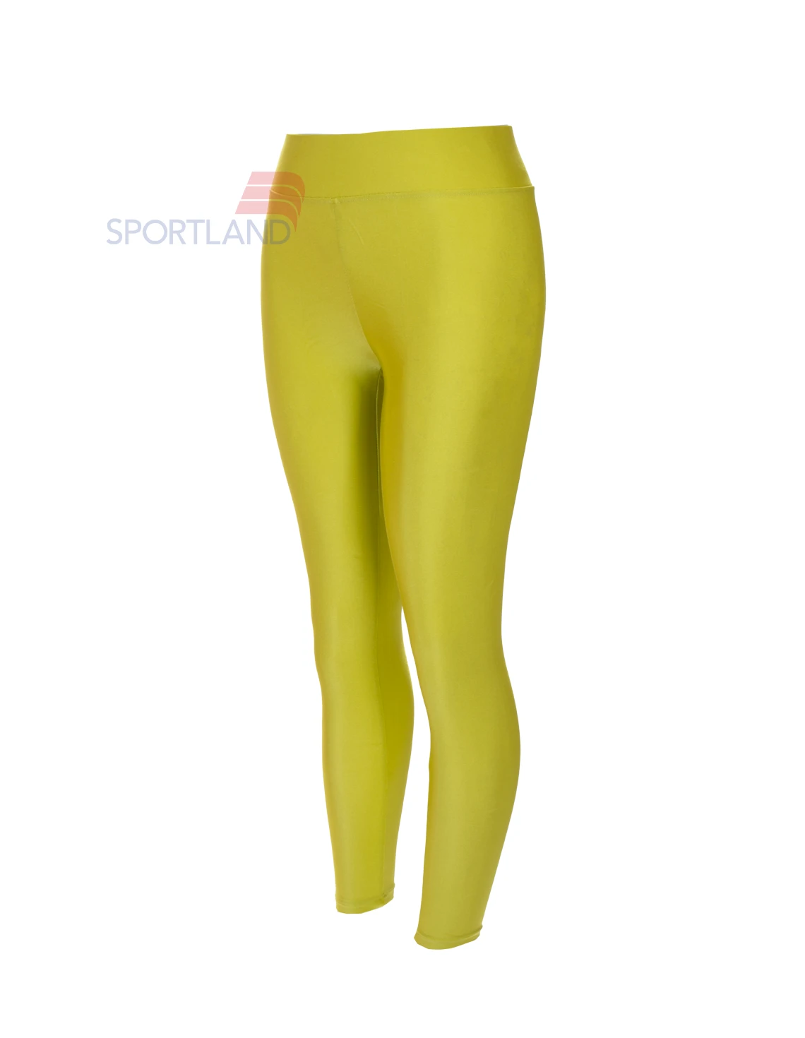 لگ ورزشی زنانه آگی Shiny Lycra 24035 W